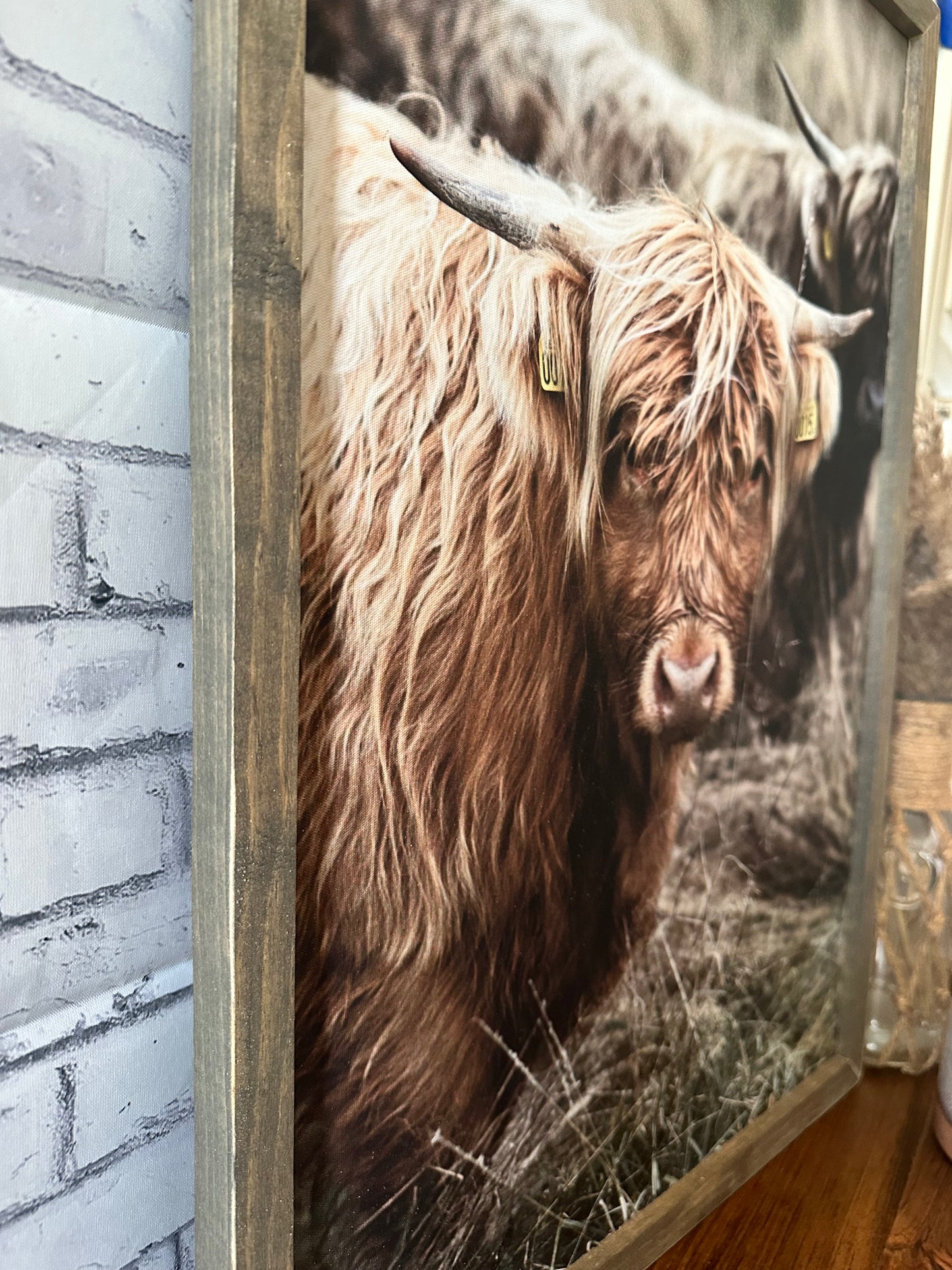 Highland cow rustic framed farmhouse canvas print