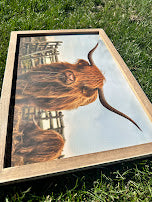 Highland cow matte canvas wood framed sign