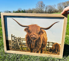 Highland cow matte canvas wood framed sign