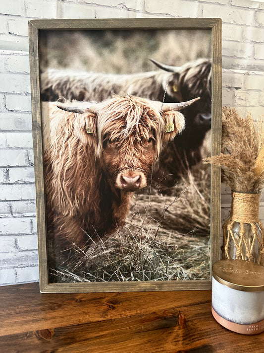 Highland cow rustic framed farmhouse canvas print